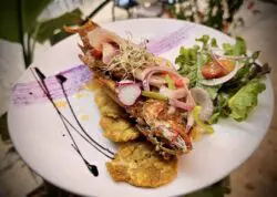 Treasure of the Sea en Playa Santa Treasure of the Sea en Playa Santa