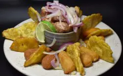 El Paladar Bar & Grill El Paladar Bar & Grill