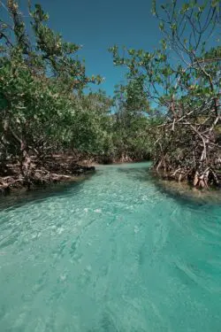 Guilligan’s Island – Cayo Aurora Guilligan’s Island – Cayo Aurora