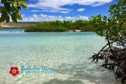 Guilligan’s Island – Cayo Aurora Guilligan’s Island – Cayo Aurora