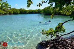 Guilligan’s Island – Cayo Aurora Guilligan’s Island – Cayo Aurora