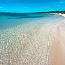 Playa La Jungla Playa La Jungla