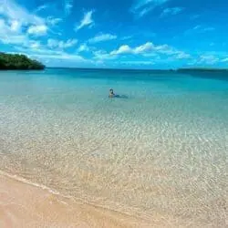 Playa La Jungla Playa La Jungla