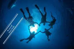 Island Scuba Island Scuba