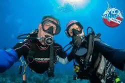 Island Scuba Island Scuba