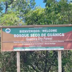 El Bosque Seco El Bosque Seco
