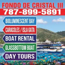 Cancel Boats Cancel Boats