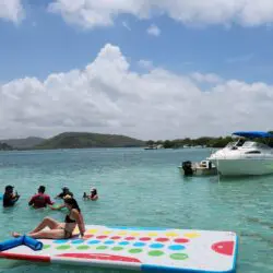 Cancel Boats Cancel Boats