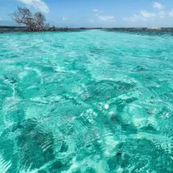 Cayo Caracoles Cayo Caracoles