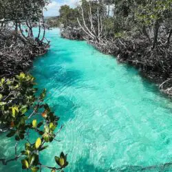 Cayo Caracoles Cayo Caracoles