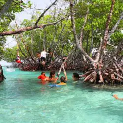 Cayo Caracoles Cayo Caracoles