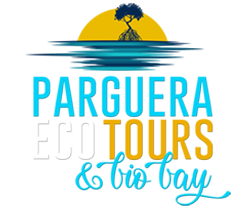 Parguera Eco Tours and Bio Bay