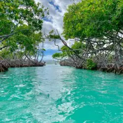 Cayo Caracoles Cayo Caracoles