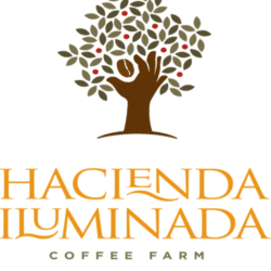 Hacienda Iluminada Coffee Farm Hacienda Iluminada Coffee Farm