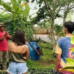 Sandra Farms Coffee Tour