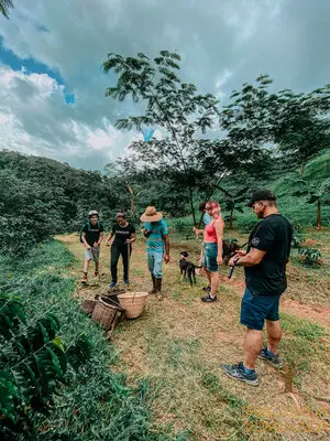 Hacienda Iluminada Coffee Farm