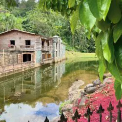 Hacienda Lealtad  Hacienda Lealtad