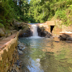 Hacienda Lealtad  Hacienda Lealtad