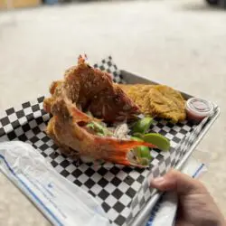 Bocados Tamara y Algo Más Bocados Tamara y Algo Más