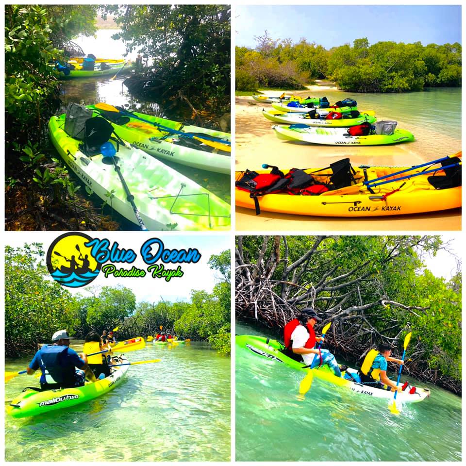 Blue Ocean Paradise Kayak