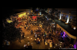 Paseo Atocha (nightclubs, live music, bars and rest area)