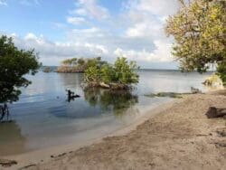 Playa Manglillo with Trail (Mangroves Beach)