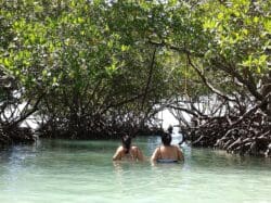 Playa Manglillo with Trail (Mangroves Beach)