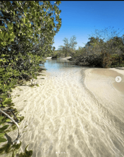 Playa La Jungla