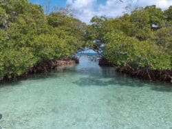 La Parguera (Cays, Boat Trips and Rest area)