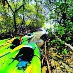 Blue Ocean Paradise Kayak