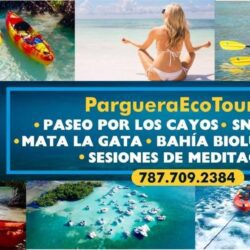 Parguera Eco Tours and Bio Bay