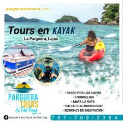 Parguera Eco Tours and Bio Bay