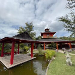 The Japanese Garden