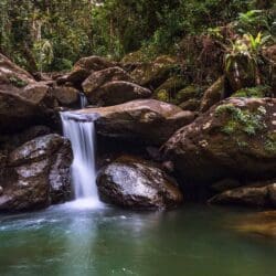 El Yunque National Forest