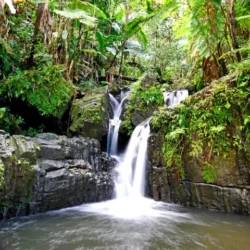 El Yunque National Forest