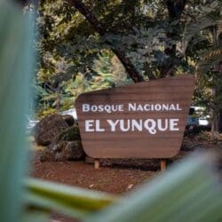 El Yunque National Forest