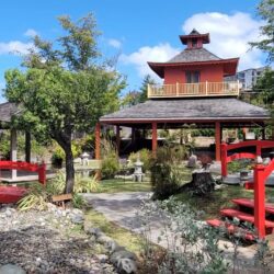 The Japanese Garden