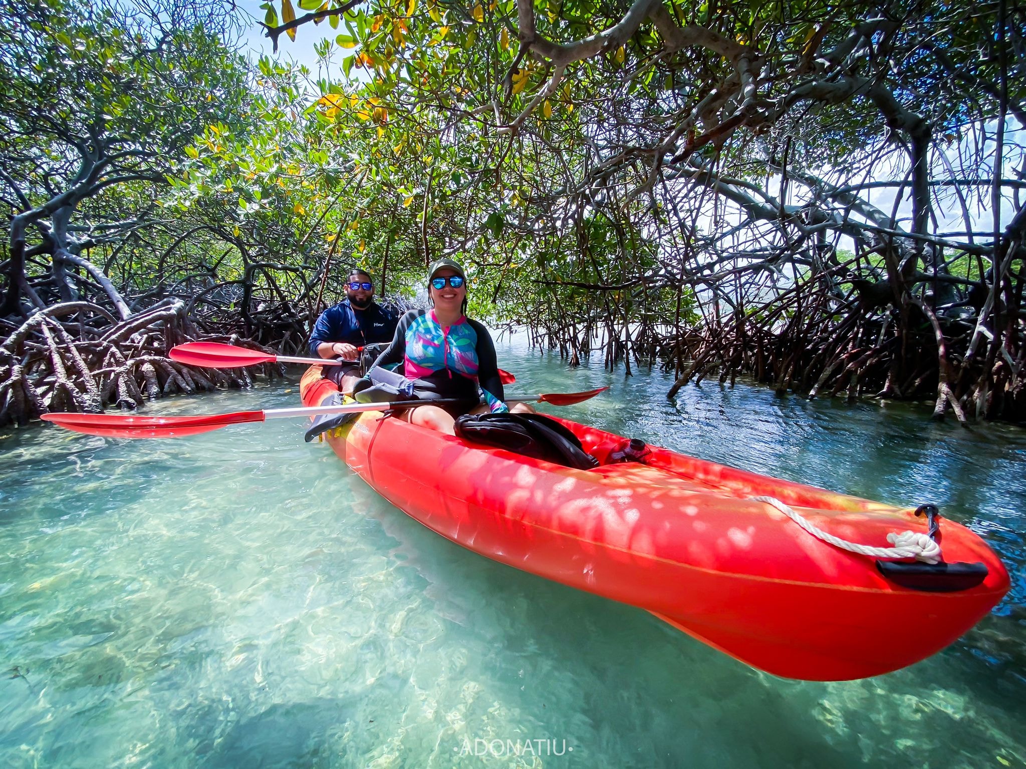 Eco Tours, Kayaks, Jet Ski, Charters, Snorkeling and more!