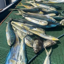 Pescadería de Playa Santa