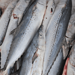 Pescadería Bahía de Guánica